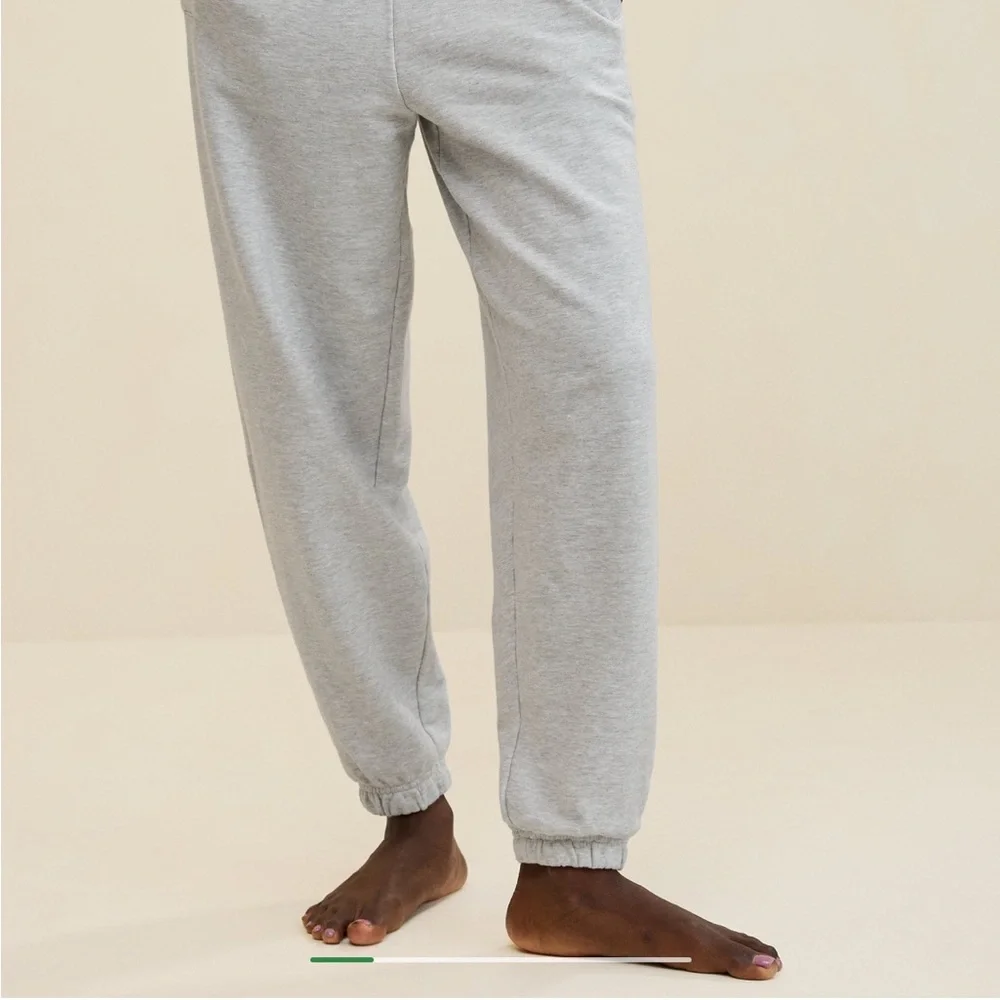 Aerie Jet Setter Jogger Heather Grey Size XS Gently Worn - Picture 2 of 5